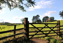 Anti-Mould & Anti-Fungal Farm Shed Treatments Limerick,Concrete Repairs & Resurfacing Limerick,Concrete Yard & Pathway Cleaning Limerick,Dairy Parlour & Milking Shed Painting Limerick,Farm Fence Painting & Repairs Limerick,Farm Gate Restoration & Painting Limerick,Farm Shed Door & Roller Shutter Repairs Limerick,Farm Shed Gutter Repairs & Replacement Limerick,Farm Shed Roof Repairs Limerick,Power Washing of Farm Buildings & Yards Limerick,Roof & Gutter Cleaning Limerick,Roof Painting & Sealing Limerick,Shed & Barn Repairs Limerick,Slatted Shed & Slurry Tank Cleaning Limerick,Steel Structure Painting Limerick,Steel Wooden Structure Painting & Treatment Limerick,Waterproofing & Damp-Proofing Farm Sheds Limerick