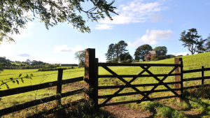 Farm Gate Restoration & Painting Limerick, Kerry and Clare