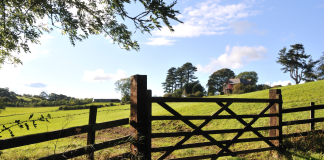 Anti-Mould & Anti-Fungal Farm Shed Treatments Limerick,Concrete Repairs & Resurfacing Limerick,Concrete Yard & Pathway Cleaning Limerick,Dairy Parlour & Milking Shed Painting Limerick,Farm Fence Painting & Repairs Limerick,Farm Gate Restoration & Painting Limerick,Farm Shed Door & Roller Shutter Repairs Limerick,Farm Shed Gutter Repairs & Replacement Limerick,Farm Shed Roof Repairs Limerick,Power Washing of Farm Buildings & Yards Limerick,Roof & Gutter Cleaning Limerick,Roof Painting & Sealing Limerick,Shed & Barn Repairs Limerick,Slatted Shed & Slurry Tank Cleaning Limerick,Steel Structure Painting Limerick,Steel Wooden Structure Painting & Treatment Limerick,Waterproofing & Damp-Proofing Farm Sheds Limerick