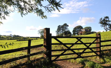 Anti-Mould & Anti-Fungal Farm Shed Treatments Limerick,Concrete Repairs & Resurfacing Limerick,Concrete Yard & Pathway Cleaning Limerick,Dairy Parlour & Milking Shed Painting Limerick,Farm Fence Painting & Repairs Limerick,Farm Gate Restoration & Painting Limerick,Farm Shed Door & Roller Shutter Repairs Limerick,Farm Shed Gutter Repairs & Replacement Limerick,Farm Shed Roof Repairs Limerick,Power Washing of Farm Buildings & Yards Limerick,Roof & Gutter Cleaning Limerick,Roof Painting & Sealing Limerick,Shed & Barn Repairs Limerick,Slatted Shed & Slurry Tank Cleaning Limerick,Steel Structure Painting Limerick,Steel Wooden Structure Painting & Treatment Limerick,Waterproofing & Damp-Proofing Farm Sheds Limerick