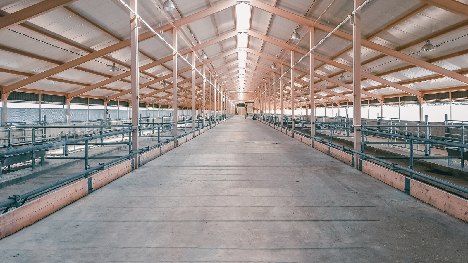 Anti-Mould & Anti-Fungal Farm Shed Treatments Doon Co. Limerick